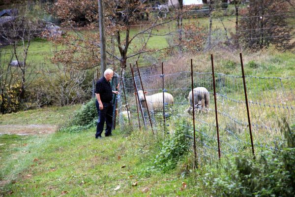 Klicken fr Bild in voller Grsse